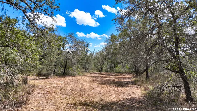 20 Clear Lake Loop Poteet, TX 78065