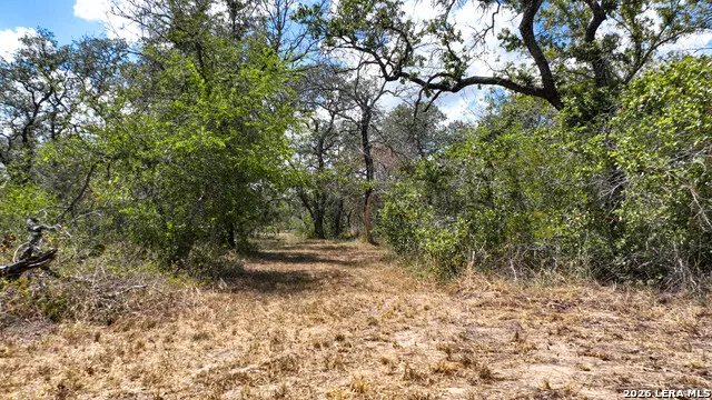 20 Clear Lake Loop Poteet, TX 78065