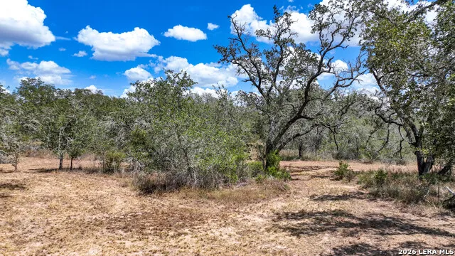 20 Clear Lake Loop Poteet, TX 78065