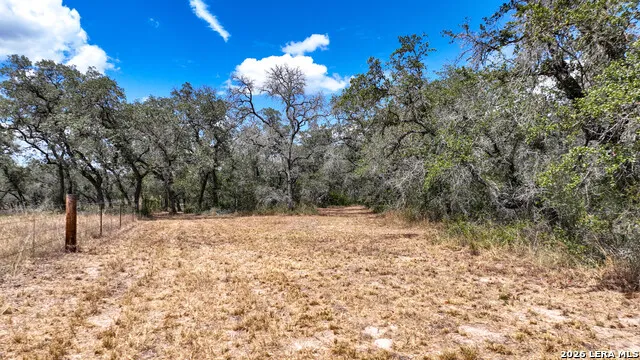 20 Clear Lake Loop Poteet, TX 78065