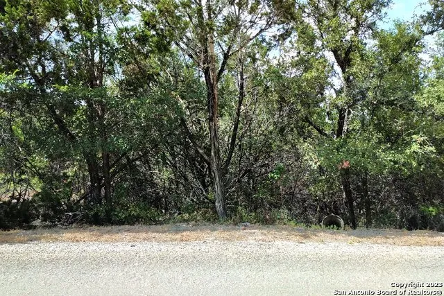 1146 ZANE GREY LN Spring Branch, TX 78070