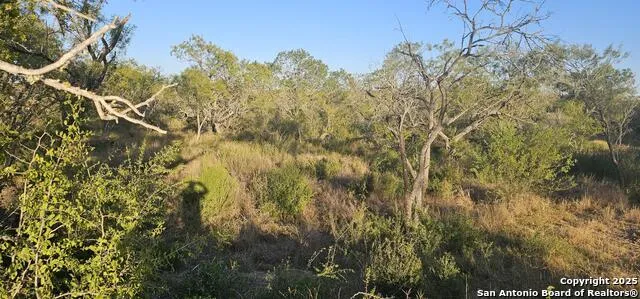 109 Sylas Hayes Pleasanton, TX 78064