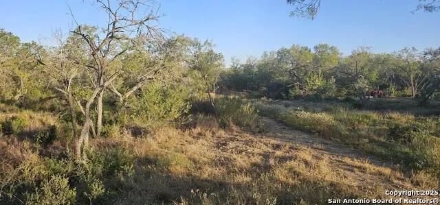 109 Sylas Hayes Pleasanton, TX 78064