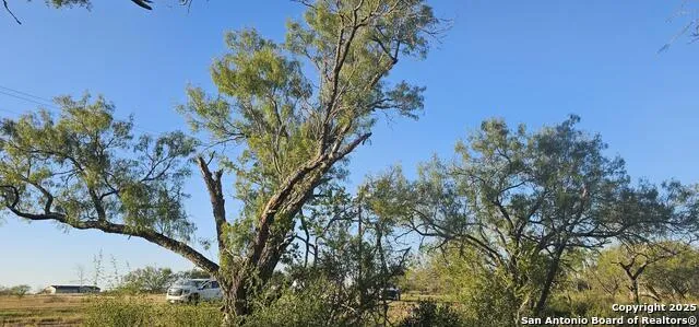 109 Sylas Hayes Pleasanton, TX 78064