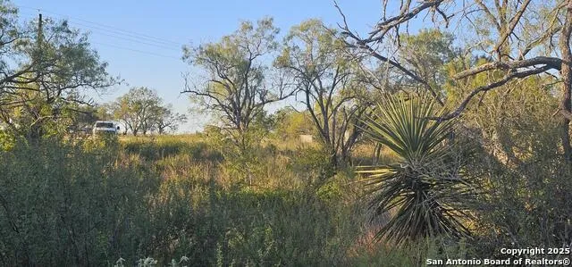 109 Sylas Hayes Pleasanton, TX 78064