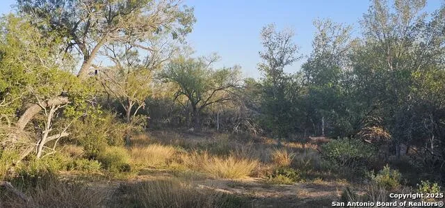 109 Sylas Hayes Pleasanton, TX 78064