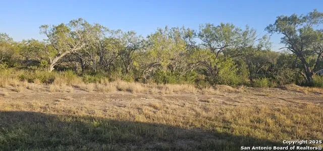 109 Sylas Hayes Pleasanton, TX 78064