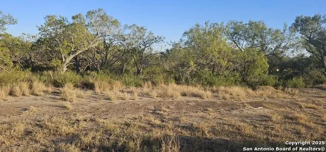 109 Sylas Hayes Pleasanton, TX 78064