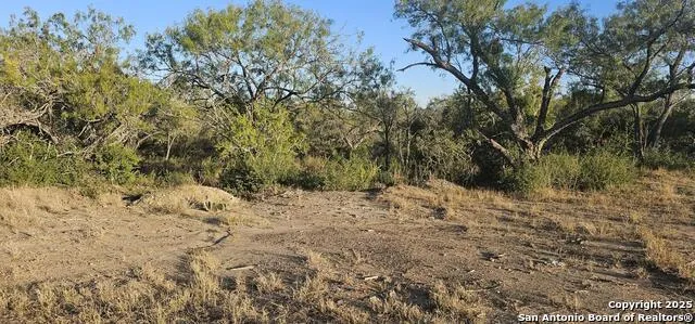 109 Sylas Hayes Pleasanton, TX 78064