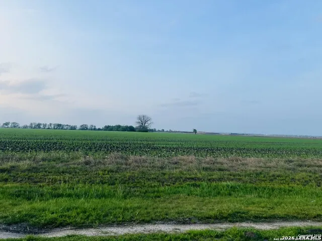 LOT 2 Lower Seguin Marion, TX 78124