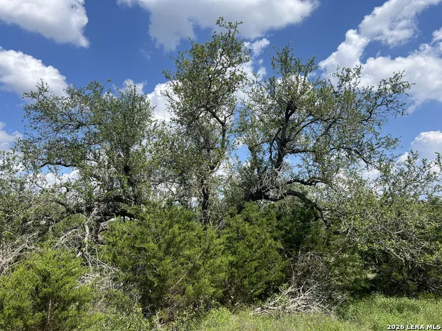 636 ROCK TRAIL PL Spring Branch, TX 78070