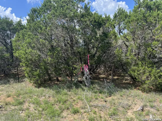 636 ROCK TRAIL PL Spring Branch, TX 78070