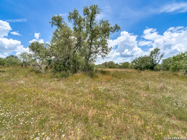 TBD Hickory Grove Road Mason, TX 76856