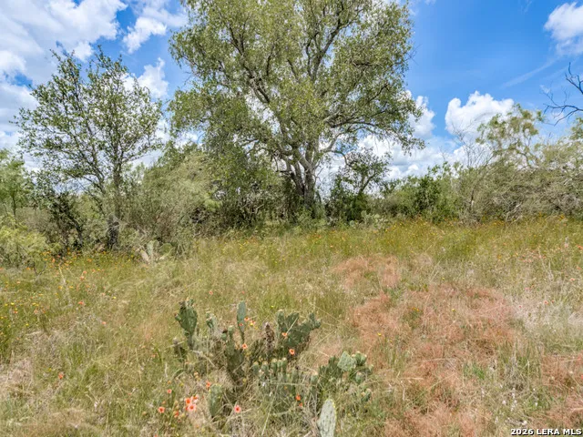 TBD Hickory Grove Road Mason, TX 76856