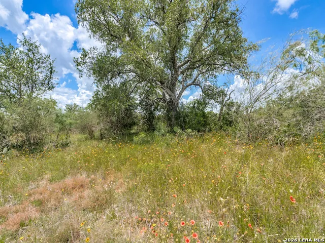 TBD Hickory Grove Road Mason, TX 76856