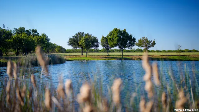 106 County Road 253 Poth, TX 78147
