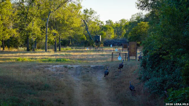 106 County Road 253 Poth, TX 78147