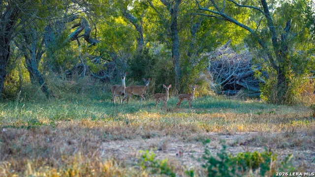 106 County Road 253 Poth, TX 78147