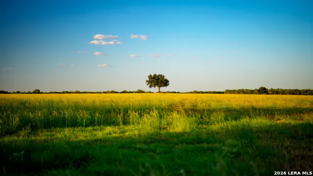 106 County Road 253 Poth, TX 78147