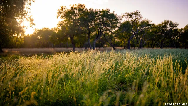 106 County Road 253 Poth, TX 78147