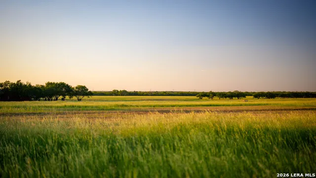 106 County Road 253 Poth, TX 78147