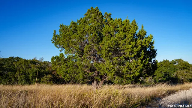 326 RIVER VALLEY RD Ingram, TX 78025