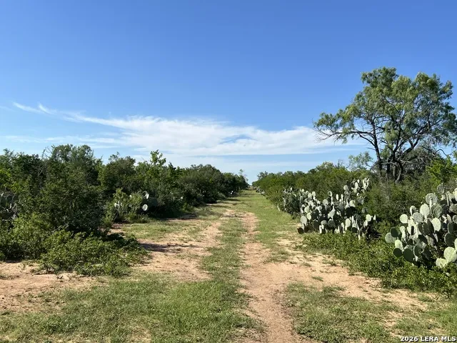 6624 W FM 2200 Moore, TX 78057