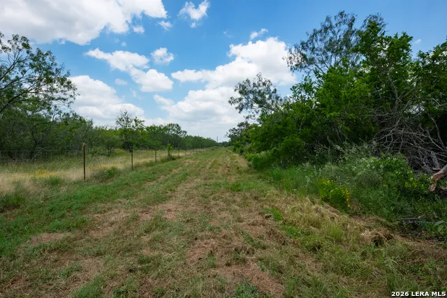 1393 Fox Trotter Seguin, TX 78155