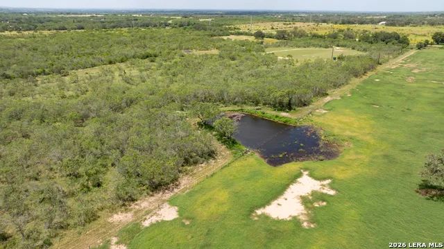 1393 Fox Trotter Seguin, TX 78155