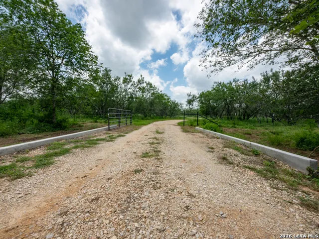1393 Fox Trotter Seguin, TX 78155