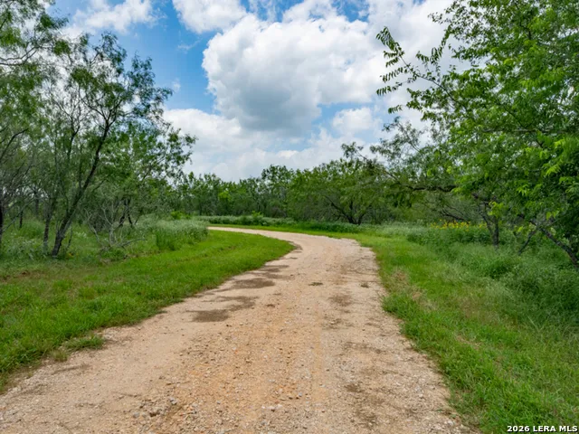 1393 Fox Trotter Seguin, TX 78155