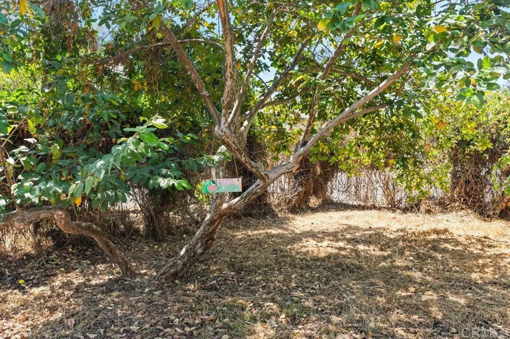 1061 Old Stage Road Fallbrook, CA 92028