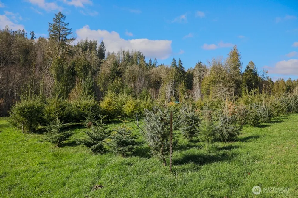 26663 Big Valley Road NE Poulsbo, WA 98370
