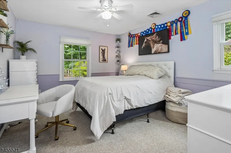 117 South St Frelinghuysen, NJ 07821