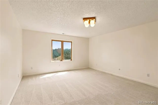 1335 Winding Ridge Terrace Colorado Springs, CO 80919