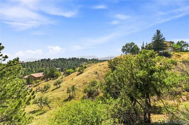 1335 Winding Ridge Terrace Colorado Springs, CO 80919