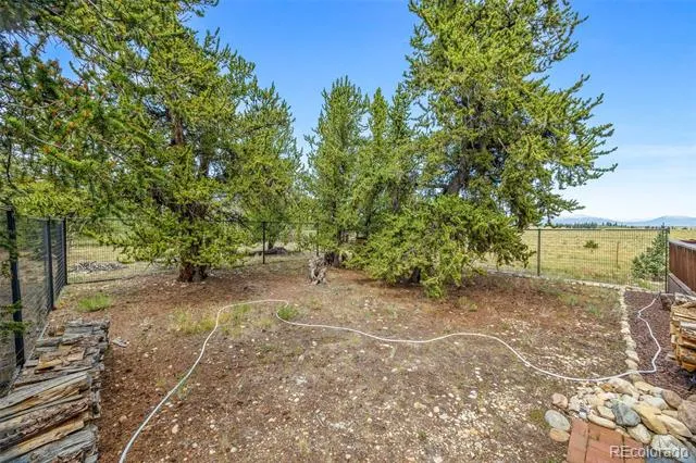 2020 Mullenville Road Fairplay, CO 80440