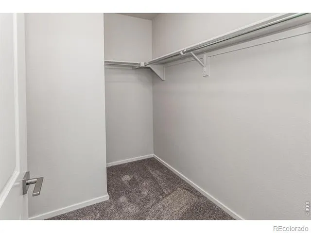 774 Trumpet Court Windsor, CO 80550