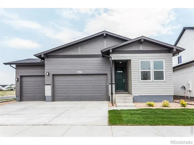 774 Trumpet Court Windsor, CO 80550