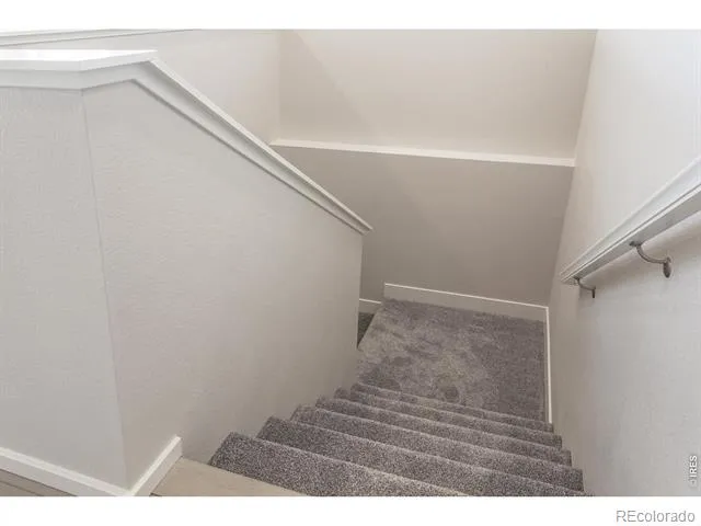 774 Trumpet Court Windsor, CO 80550