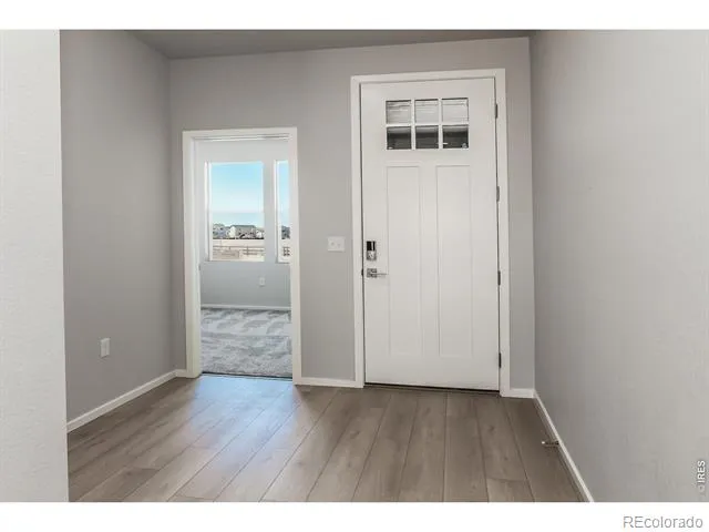 774 Trumpet Court Windsor, CO 80550