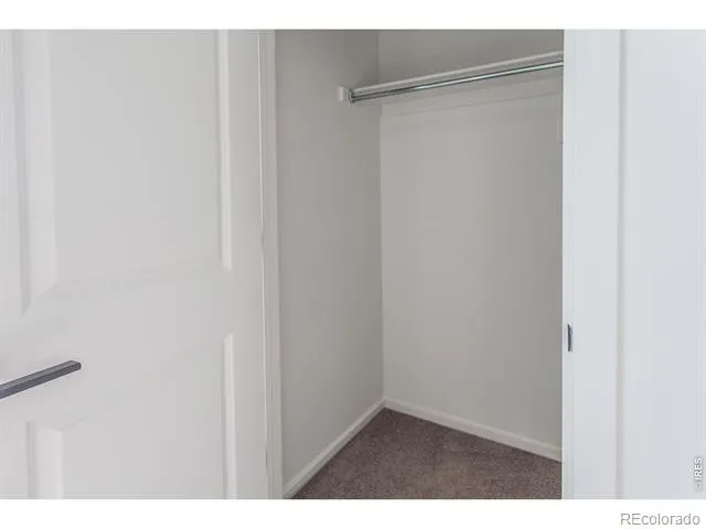 3254 Crusader Street Fort Collins, CO 80524