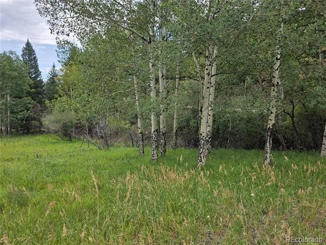0 Hyland Drive Evergreen, CO 80439