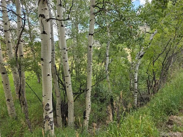 0 Hyland Drive Evergreen, CO 80439