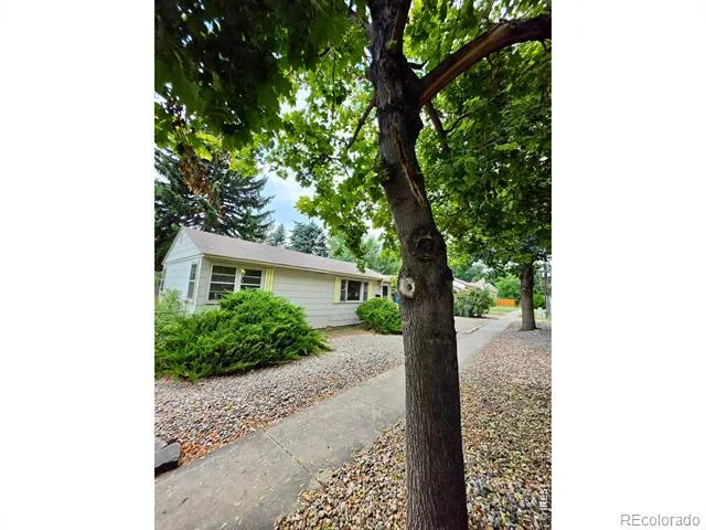 511 W Olive Street Fort Collins, CO 80521