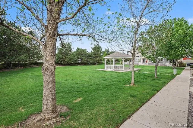 1459 Thunder Butte Road Castle Rock, CO 80109