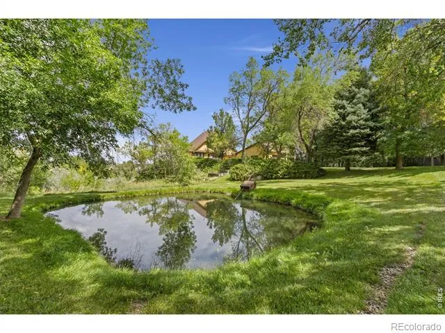 5153 Single Tree Drive Loveland, CO 80537