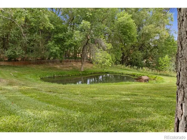 5153 Single Tree Drive Loveland, CO 80537