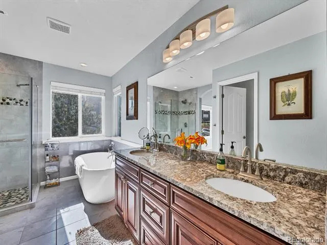 4242 Opal Court Castle Rock, CO 80104