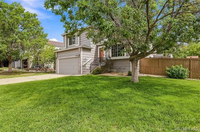 4506 Wildflowers Way Castle Rock, CO 80109